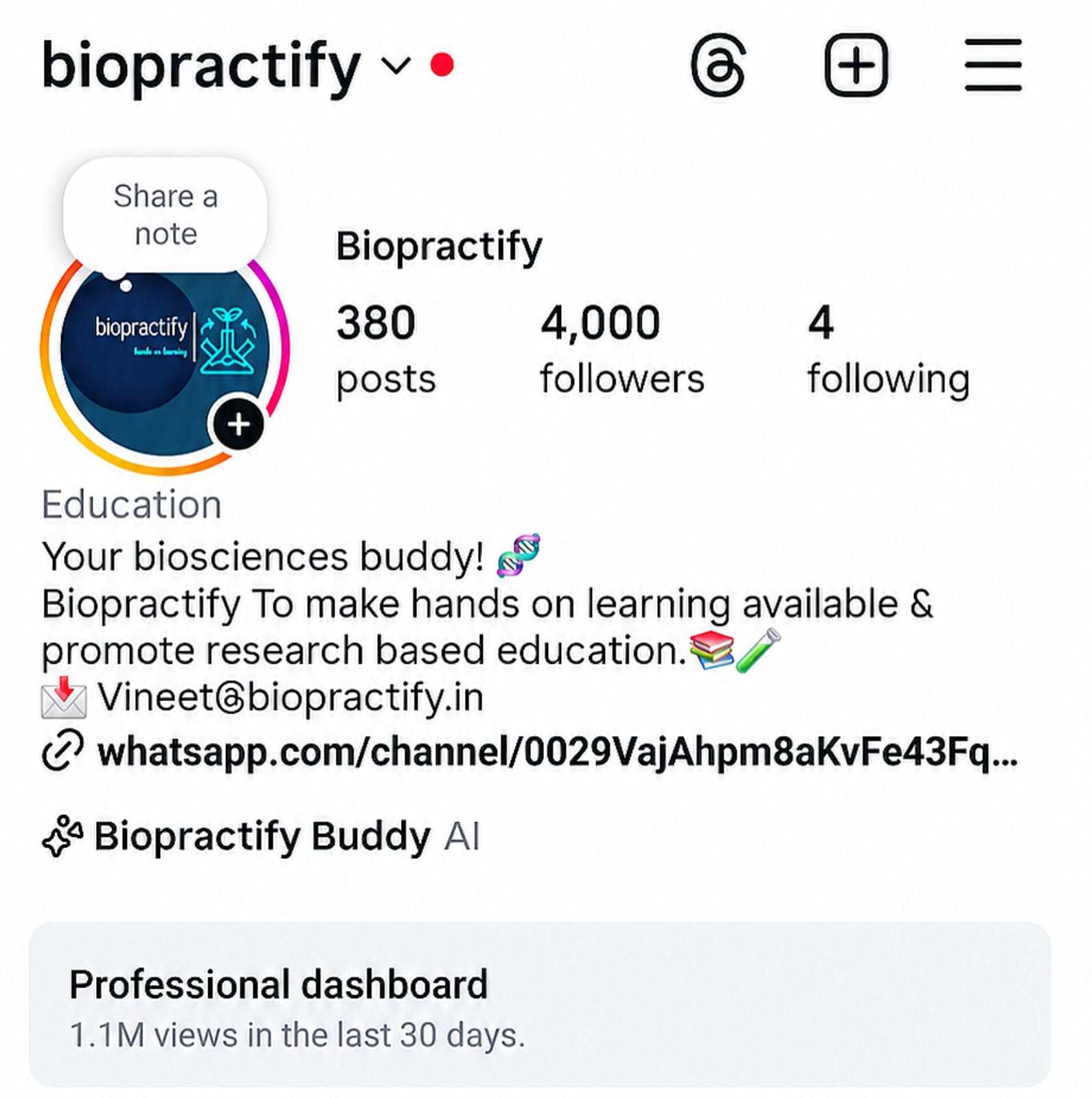 Instagram Profile Strategy Mockup 4